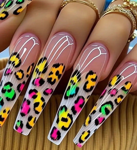 Spring Cheetah