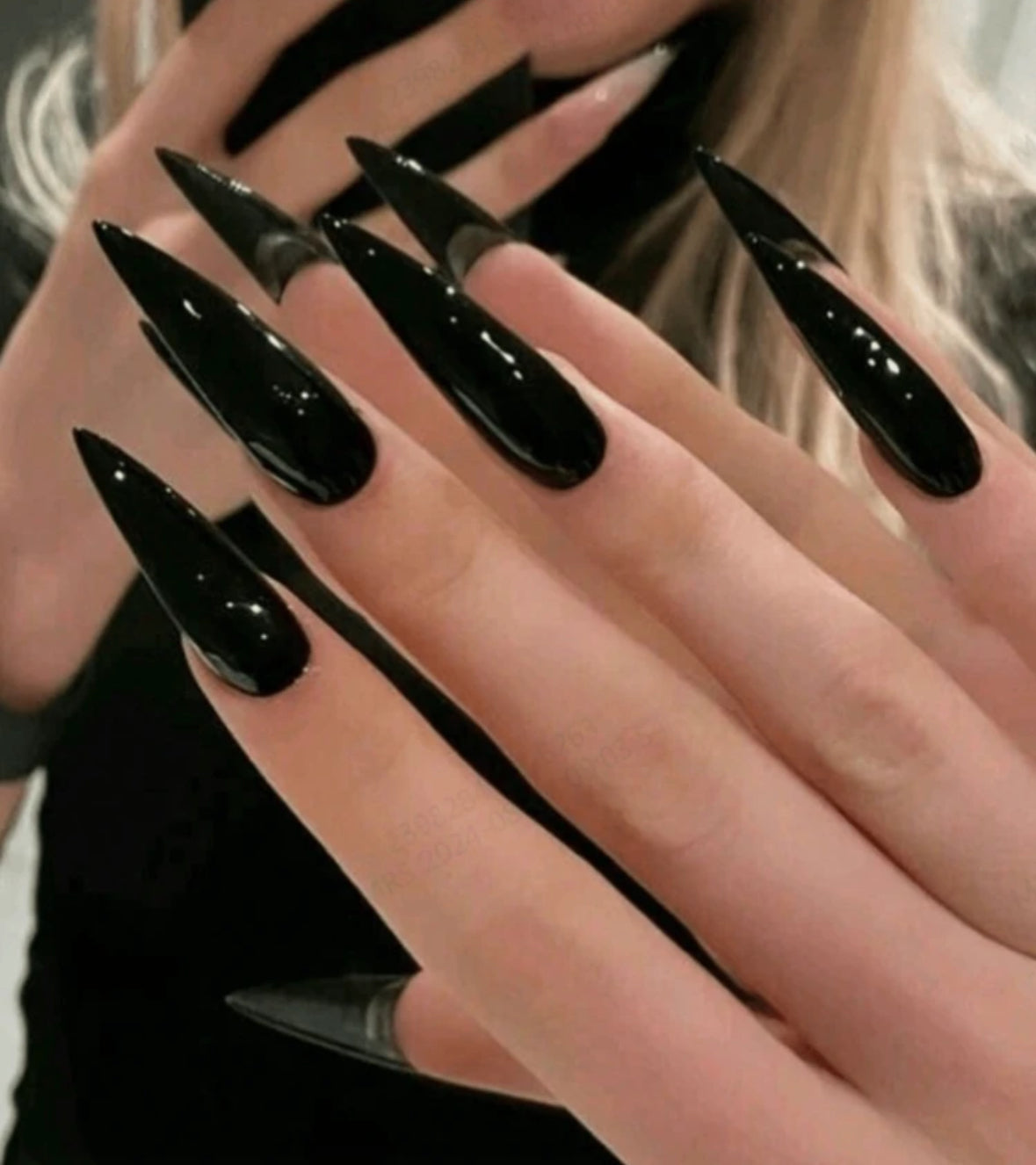 Black Cat